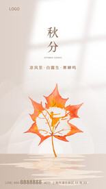 秋分设计