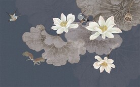 手绘荷花