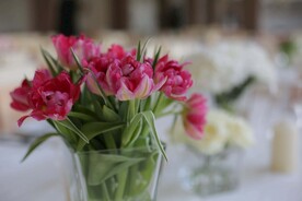 郁金香花束