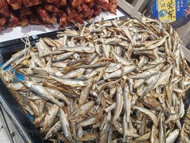 小鱼干 