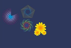 花瓣 