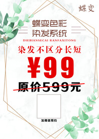 染发海报