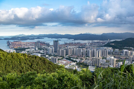 盐田港