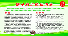 蝎子的价值和用处
