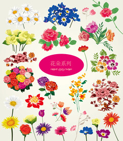 各种花朵大全 