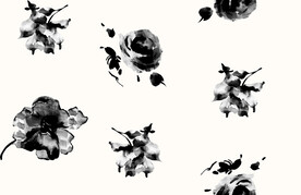 黑白花