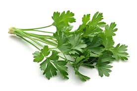 香菜  