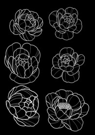 花线条
