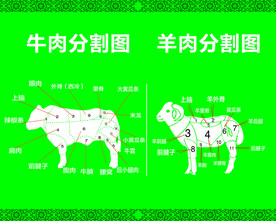 牛羊肉分割图