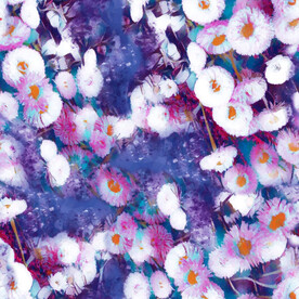 抽象菊花