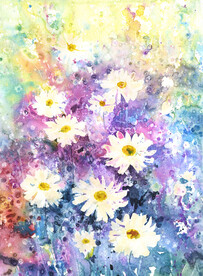 水彩菊花