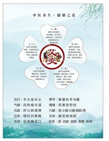 艾灸版面