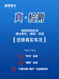 维真验车