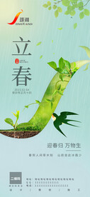 节气海报