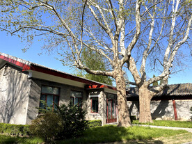 清华大学一景