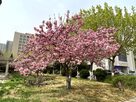 华北电力大学一景