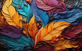 羽毛壁画 