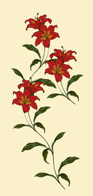百合花