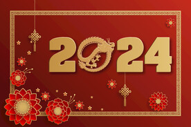 2024龙年元素