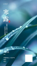 寒露节气祝福海报