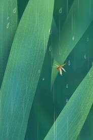 古典烟雨江南 