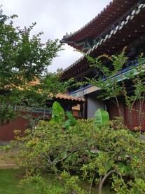 后院