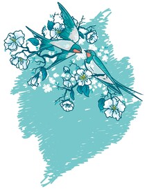 花鸟