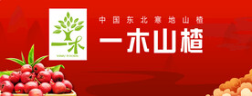 山楂包装