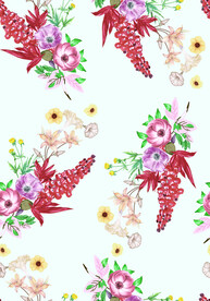海葵花