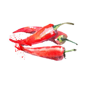 手绘蔬菜 