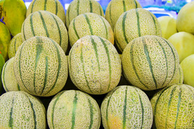 哈密瓜