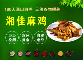 麻鸡