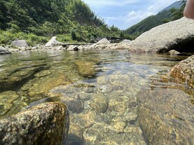清澈的河流