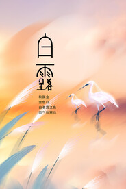 白露传统节气海报