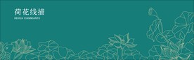 荷花线描