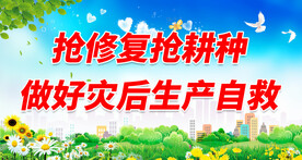 抗洪标语 
