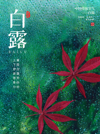 白露海报 