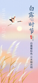 白露海报