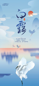 白露海报