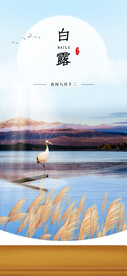 白露海报