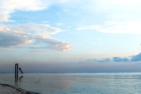 大海