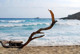 大海