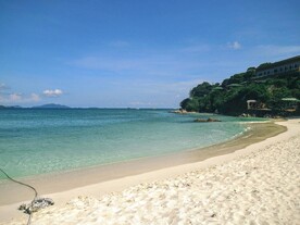 大海