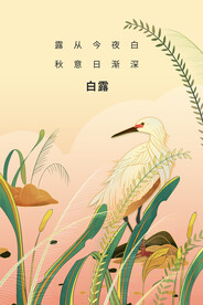 白露传统节气海报