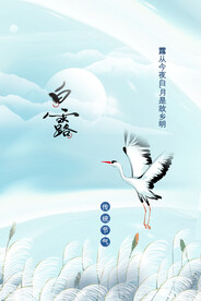 白露传统节气海报