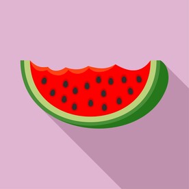 西瓜插画