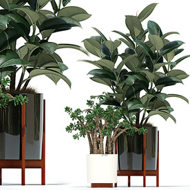 C4D模型 绿色植物