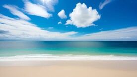 海天一色