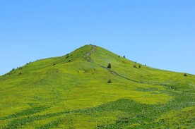 高山草地