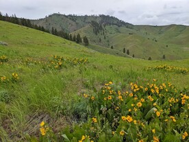 高山草地